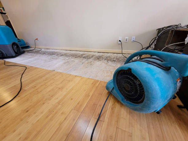 Professional Emergency Water Damage technician working in Menomonie, WI